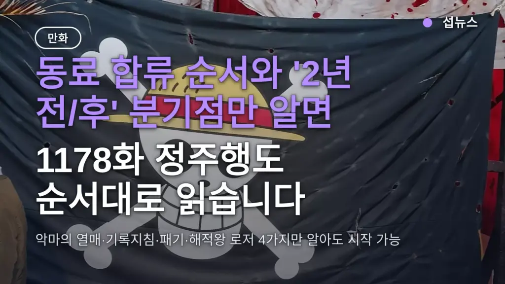 원피스 보기전 알아야 할 것 4가지 — 동료 합류 순서·2년 전후 분기점