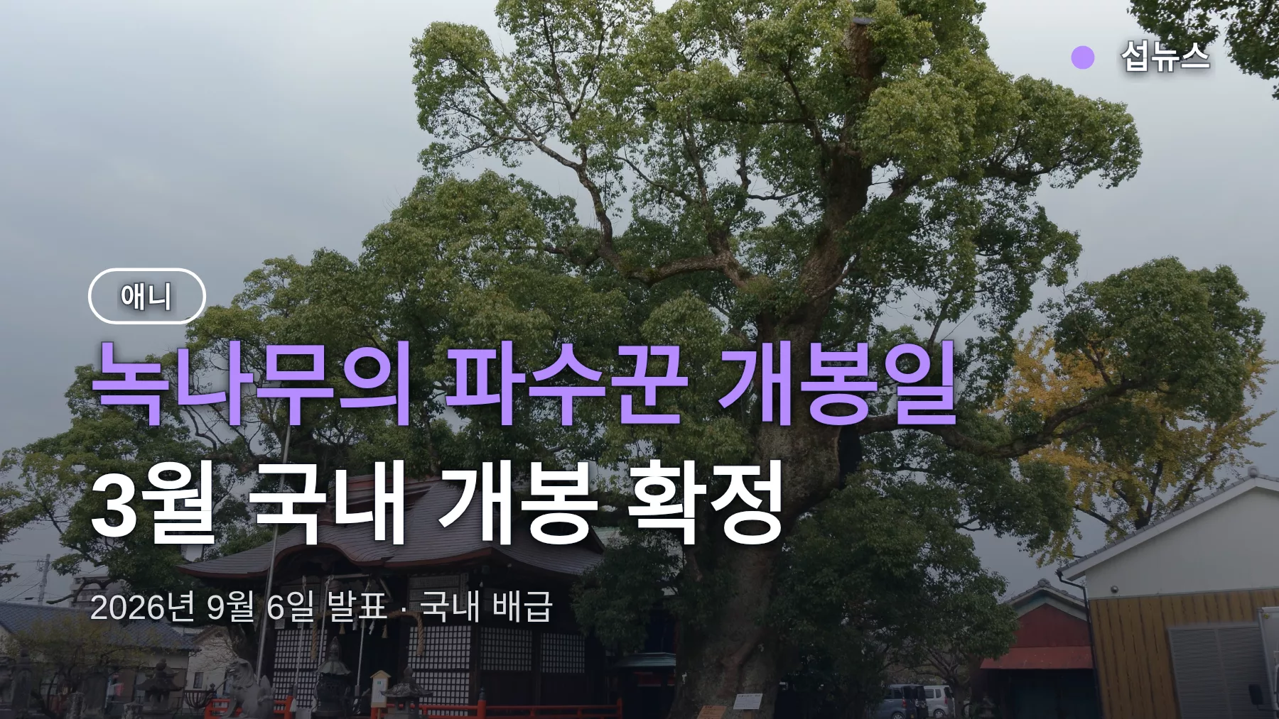 녹나무의 파수꾼 개봉일, 3월 국내 개봉 확정